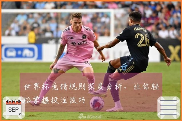 世界杯竞猜规则深度分析,让你轻松掌握投注技巧