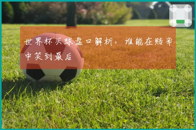 世界杯买球盘口解析，谁能在赔率中笑到最后