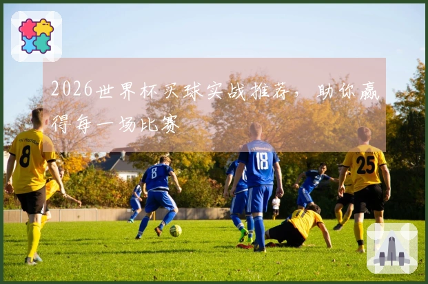 2026世界杯买球实战推荐，助你赢得每一场比赛