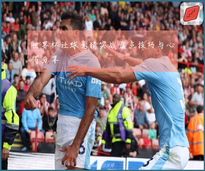 世界杯让球竞猜实战盘点技巧与心得分享