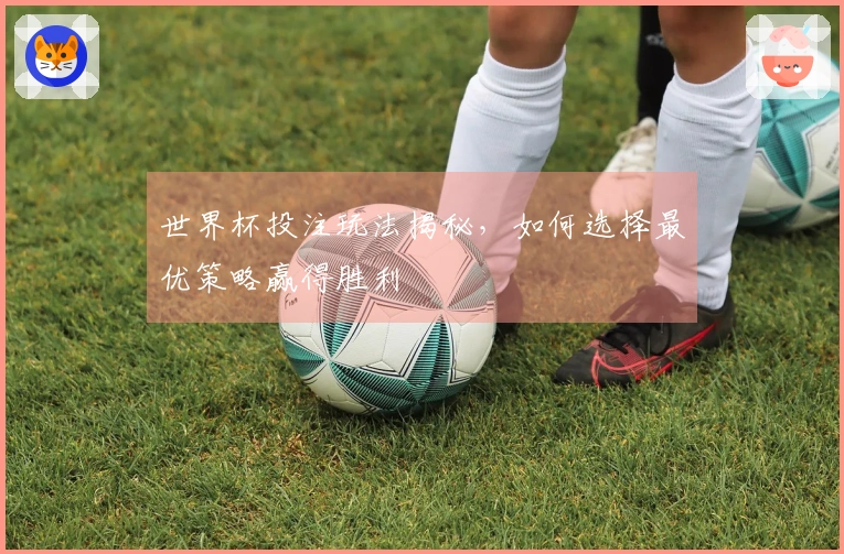 世界杯投注玩法揭秘，如何选择最优策略赢得胜利