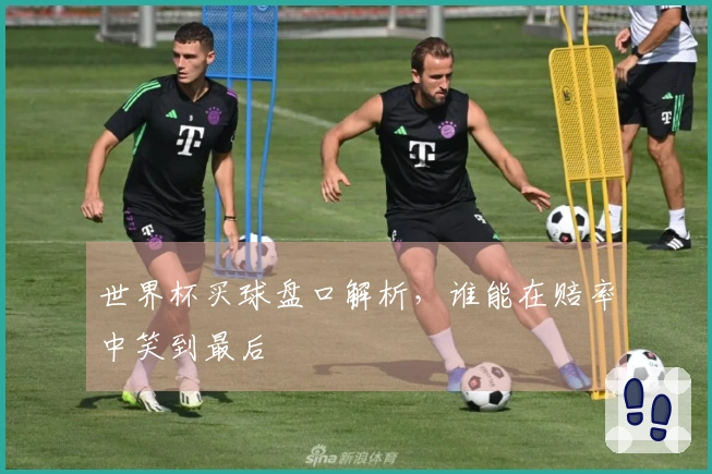 世界杯买球盘口解析，谁能在赔率中笑到最后
